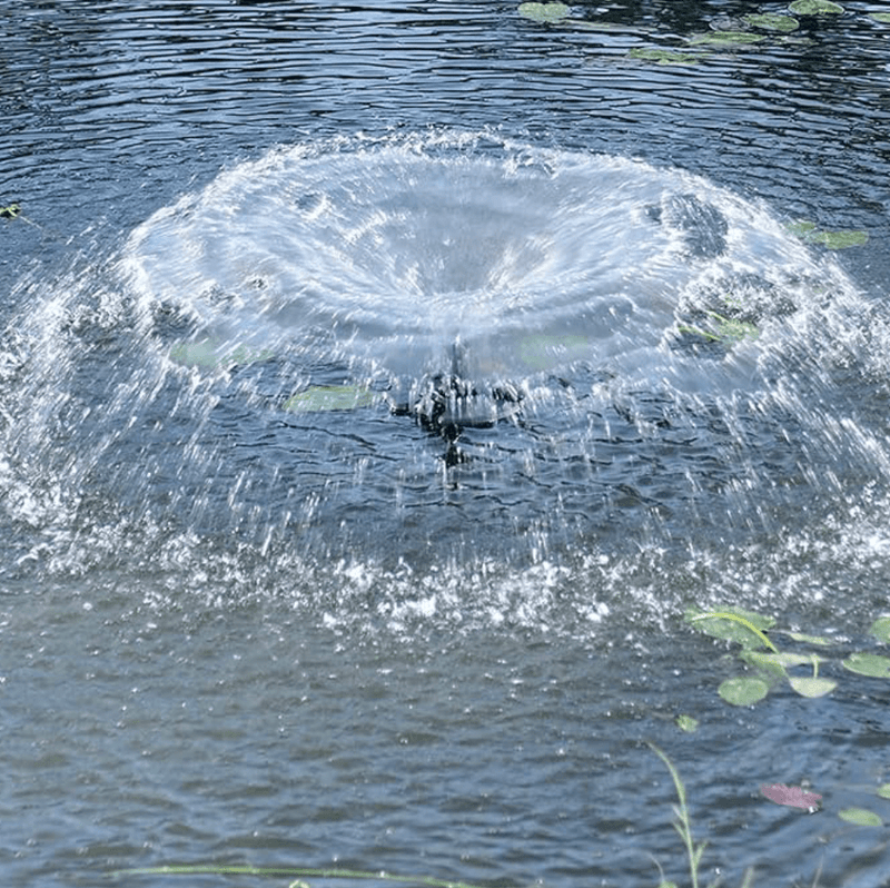 Load image into Gallery viewer, Oase Floating Fountain with Lights
