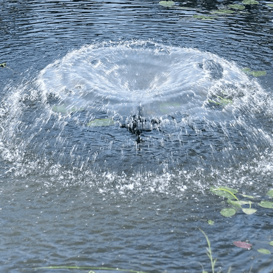 Oase Floating Fountain with Lights