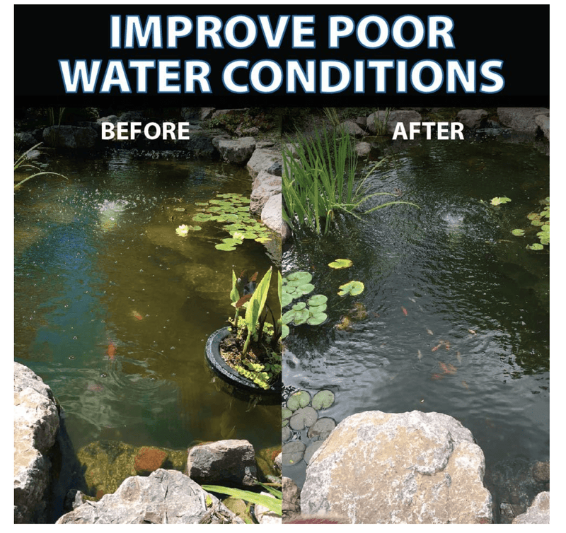 Load image into Gallery viewer, CrystalClear® Pond Shock Ball Natural Enzymes &amp; Live Bacteria, Freshwater Clarifier Shock Treatment, Muck &amp; Sludge Remover for Small Pond &amp; Outdoor Water Garden Ponds, Koi Fish &amp; Aquatic Plants Safe
