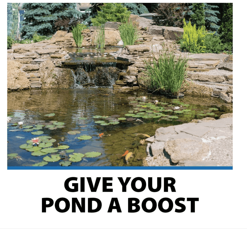 Load image into Gallery viewer, CrystalClear® Pond Shock Ball Natural Enzymes &amp; Live Bacteria, Freshwater Clarifier Shock Treatment, Muck &amp; Sludge Remover for Small Pond &amp; Outdoor Water Garden Ponds, Koi Fish &amp; Aquatic Plants Safe
