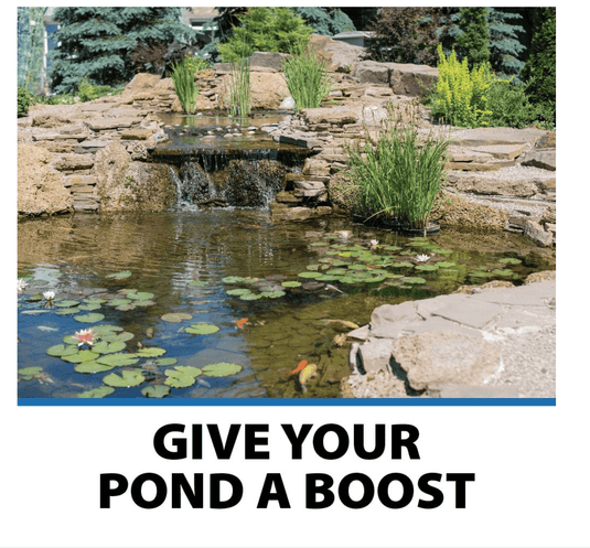 CrystalClear® Pond Shock Ball Natural Enzymes & Live Bacteria, Freshwater Clarifier Shock Treatment, Muck & Sludge Remover for Small Pond & Outdoor Water Garden Ponds, Koi Fish & Aquatic Plants Safe